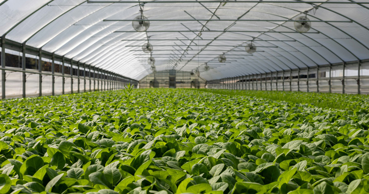 Rafraîchissement d'air